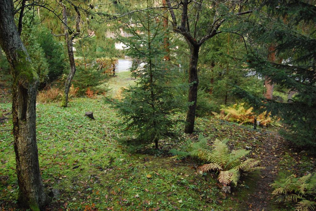 Boróka Apartmanházak - Öregház Velem Quarto foto