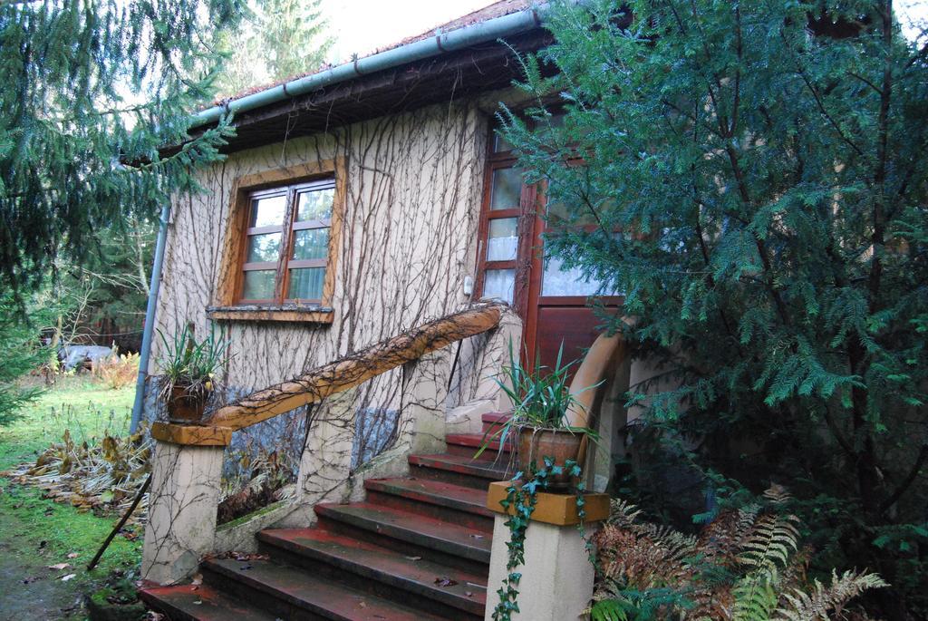 Boróka Apartmanházak - Öregház Velem Quarto foto